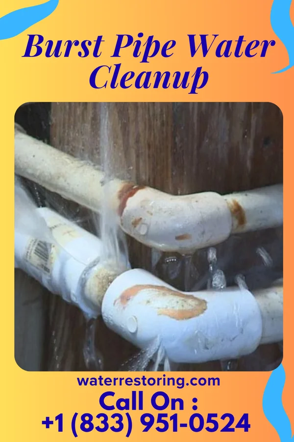 Burst Pipe Water Cleanup in Bowdle, SD