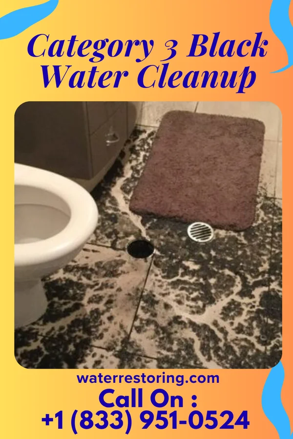 Category 3 Black Water Cleanup in Bowdle, SD
