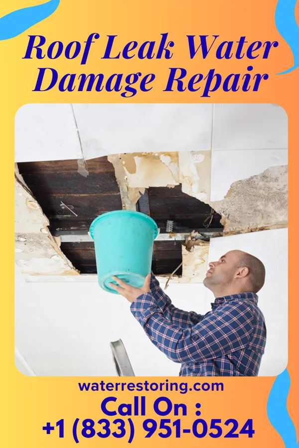 Roof Leak Water Damage Repair in Bowdle, SD